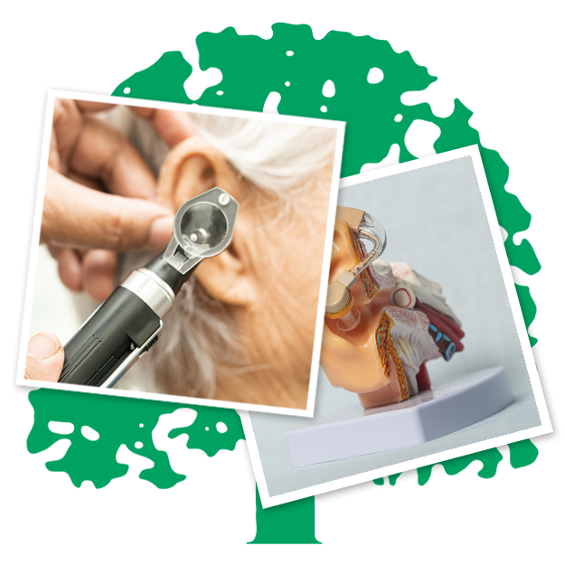 Doctor looking into patient's ear.